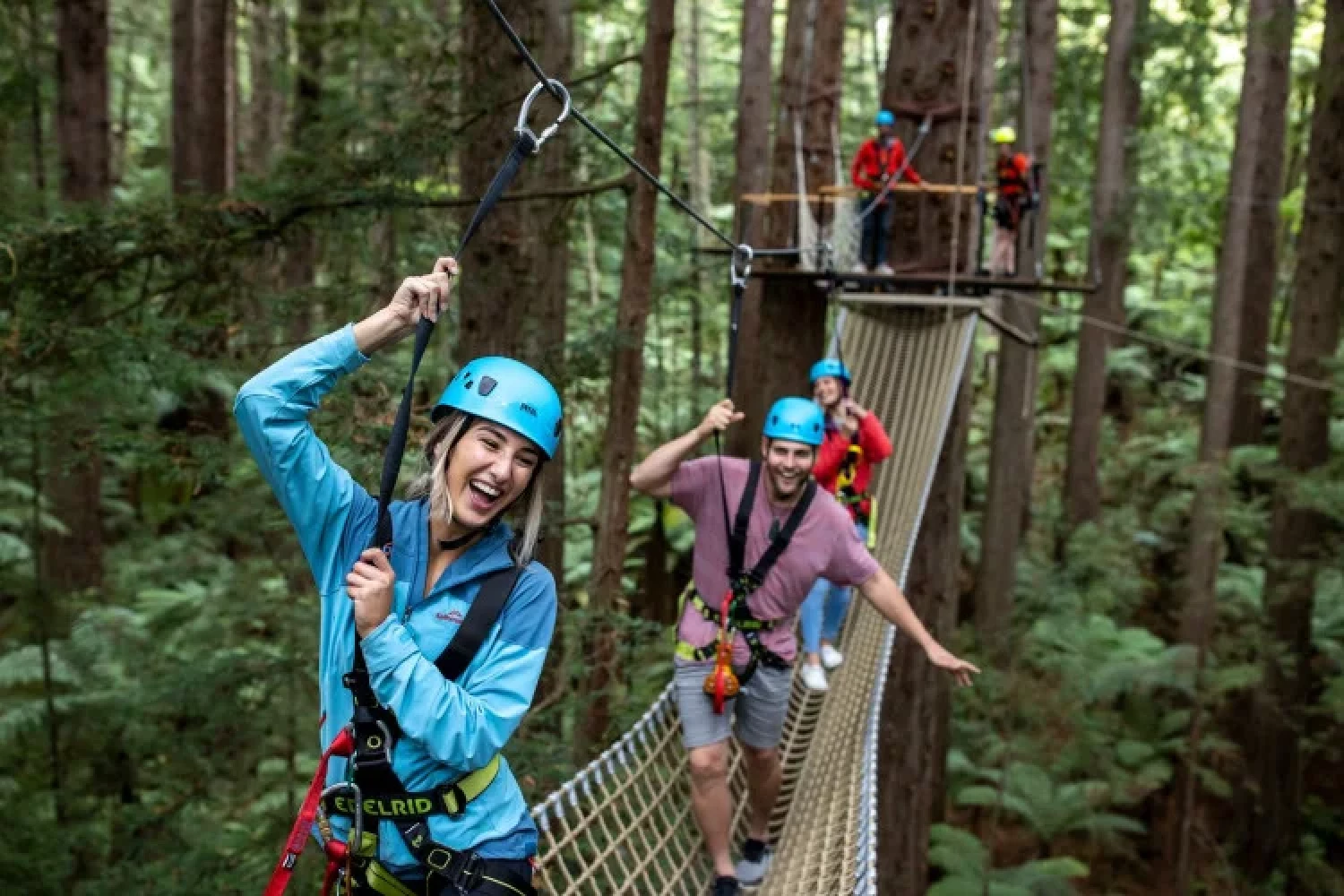 The Redwoods Tree Walk - Source: NZVisualLibrary
