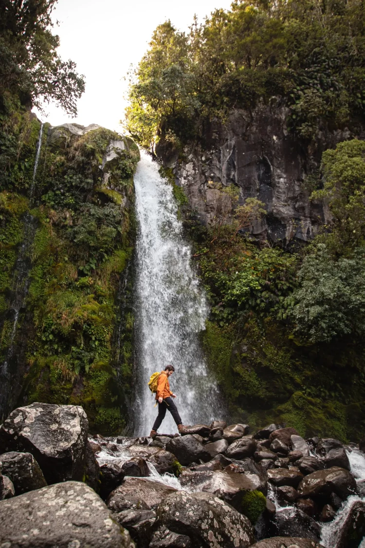 Dawson Falls, Taranaki Maunga National Park - Source: NZStory
