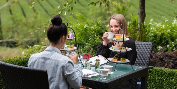 Zealong Tea Estate - Source: Hamilton Waikato Tourism