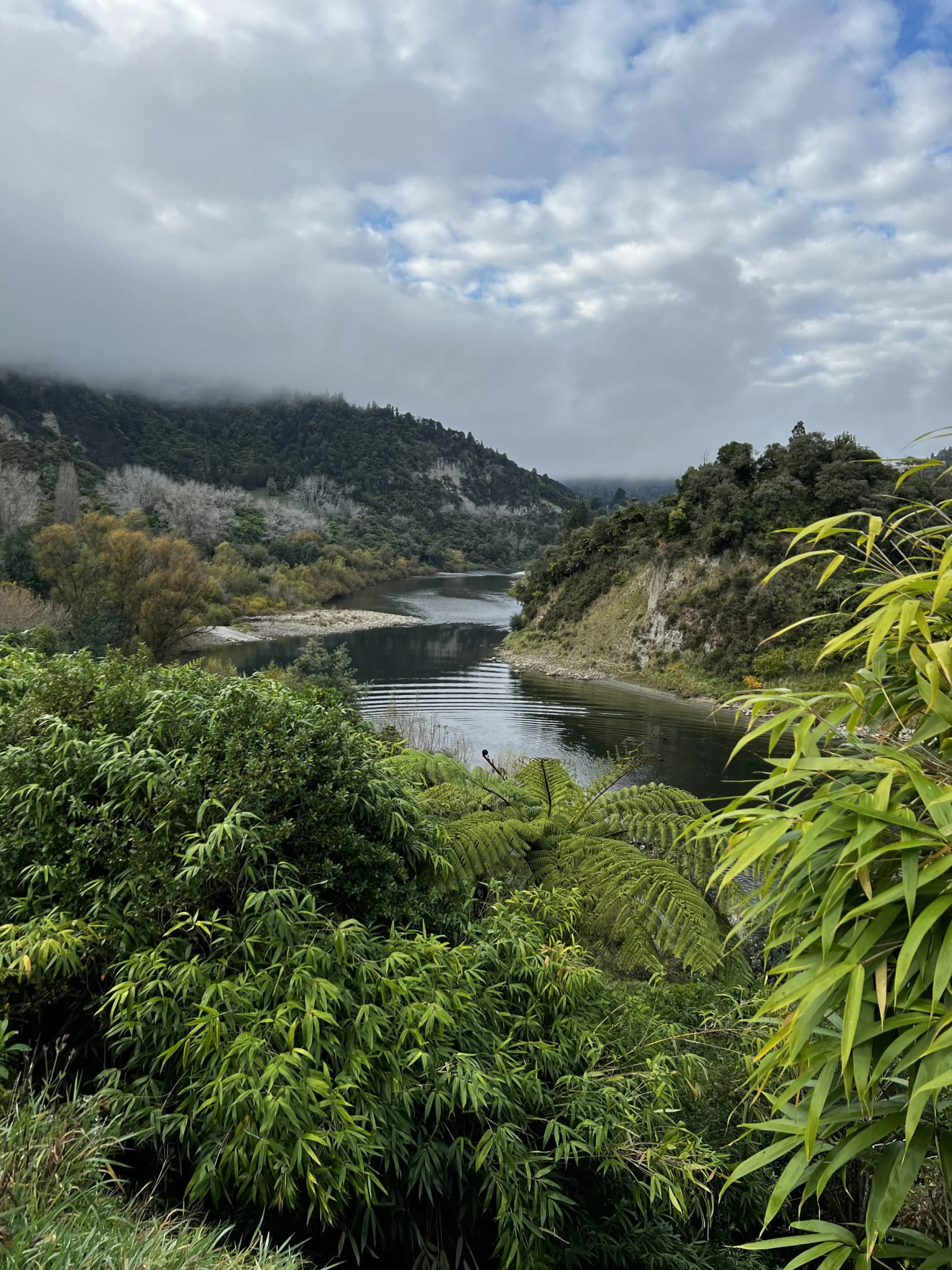 Te Awa o Whanganui - Credit: Discover Whanganui