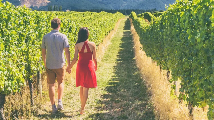 Couple at a vineyard