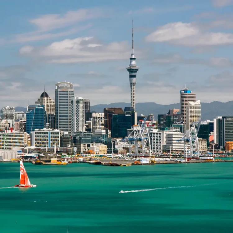 Auckland harbour cityscape
