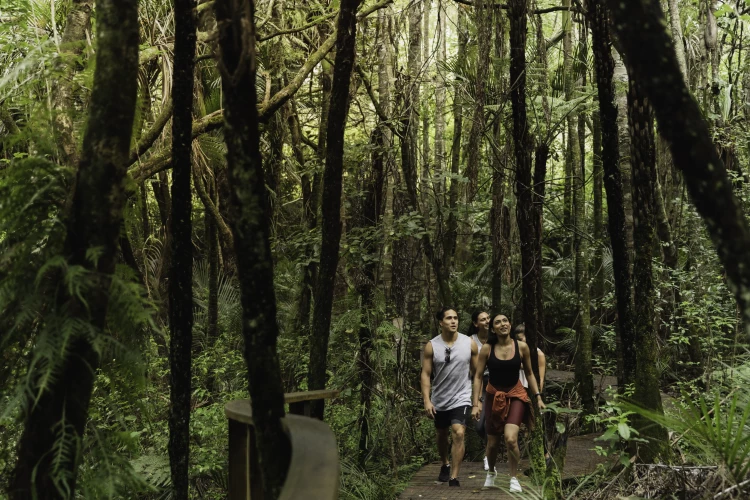 Friends walking through New Zealand bush