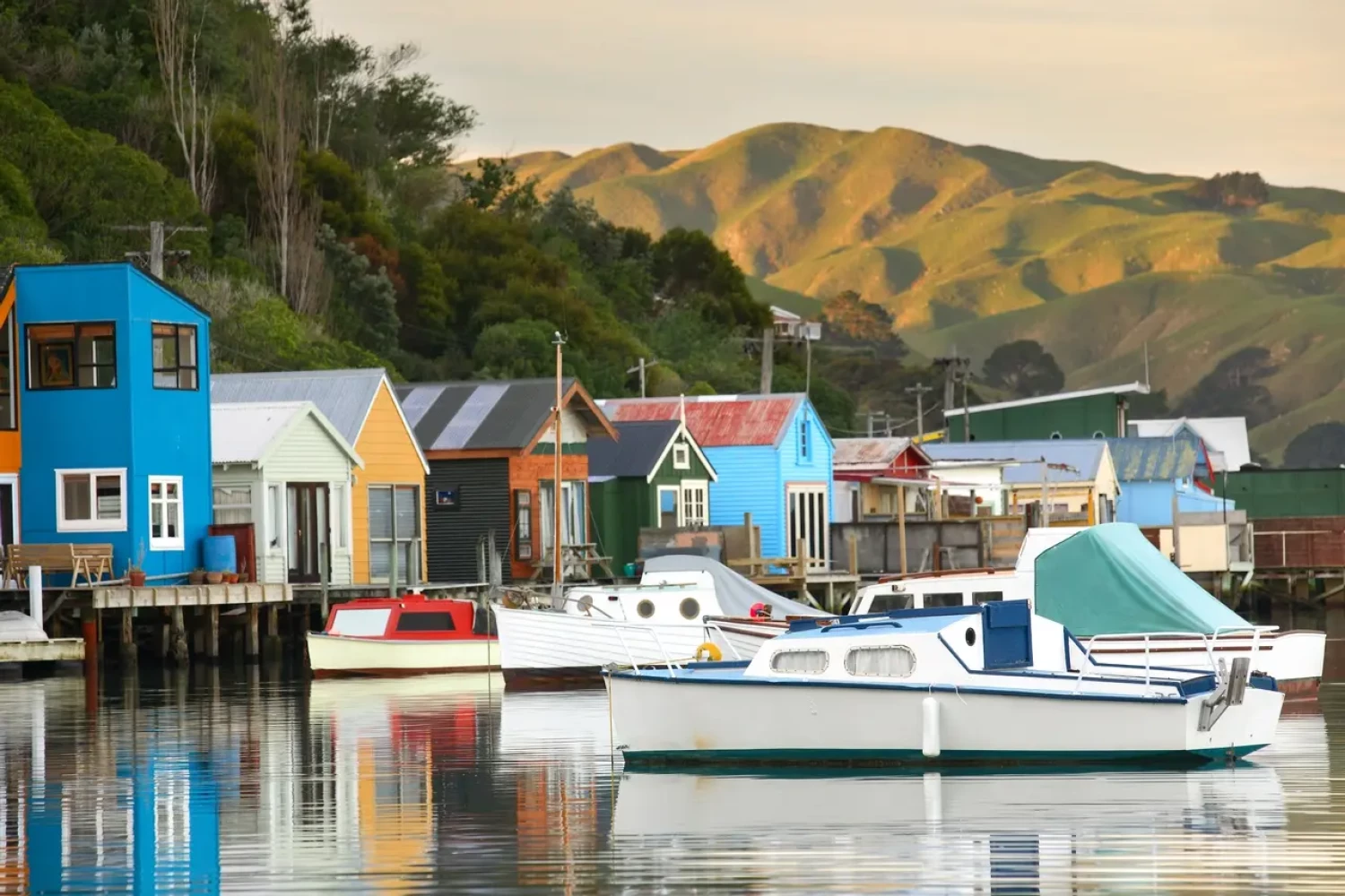 scenic paremata porirua boat sheds credit rob suisted naturespic.com water ocean harbour hills views nature colour