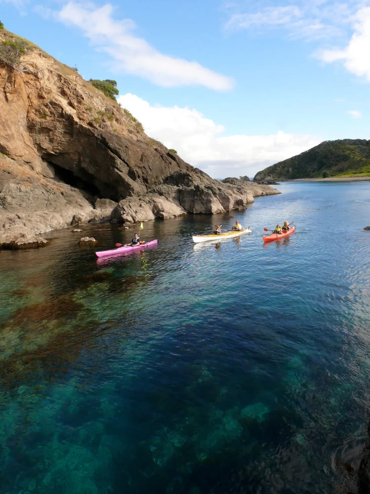 Sea kayaking tour by AdventureHQ Bay of Islands