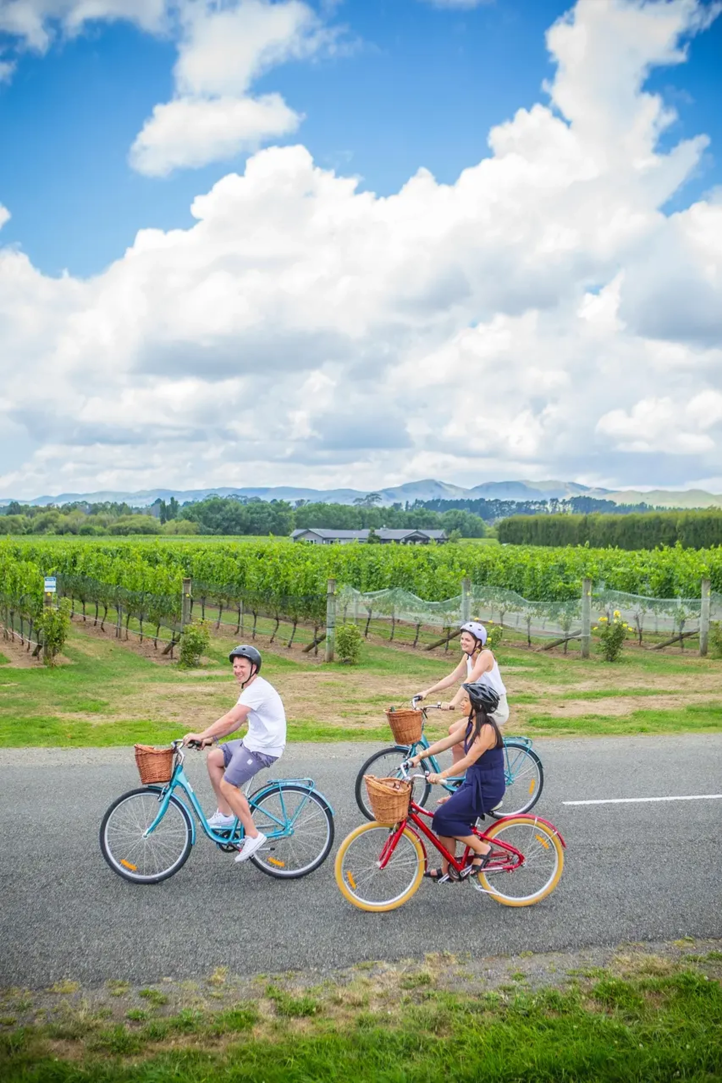 People cycling by the vineyards in Martinborough
