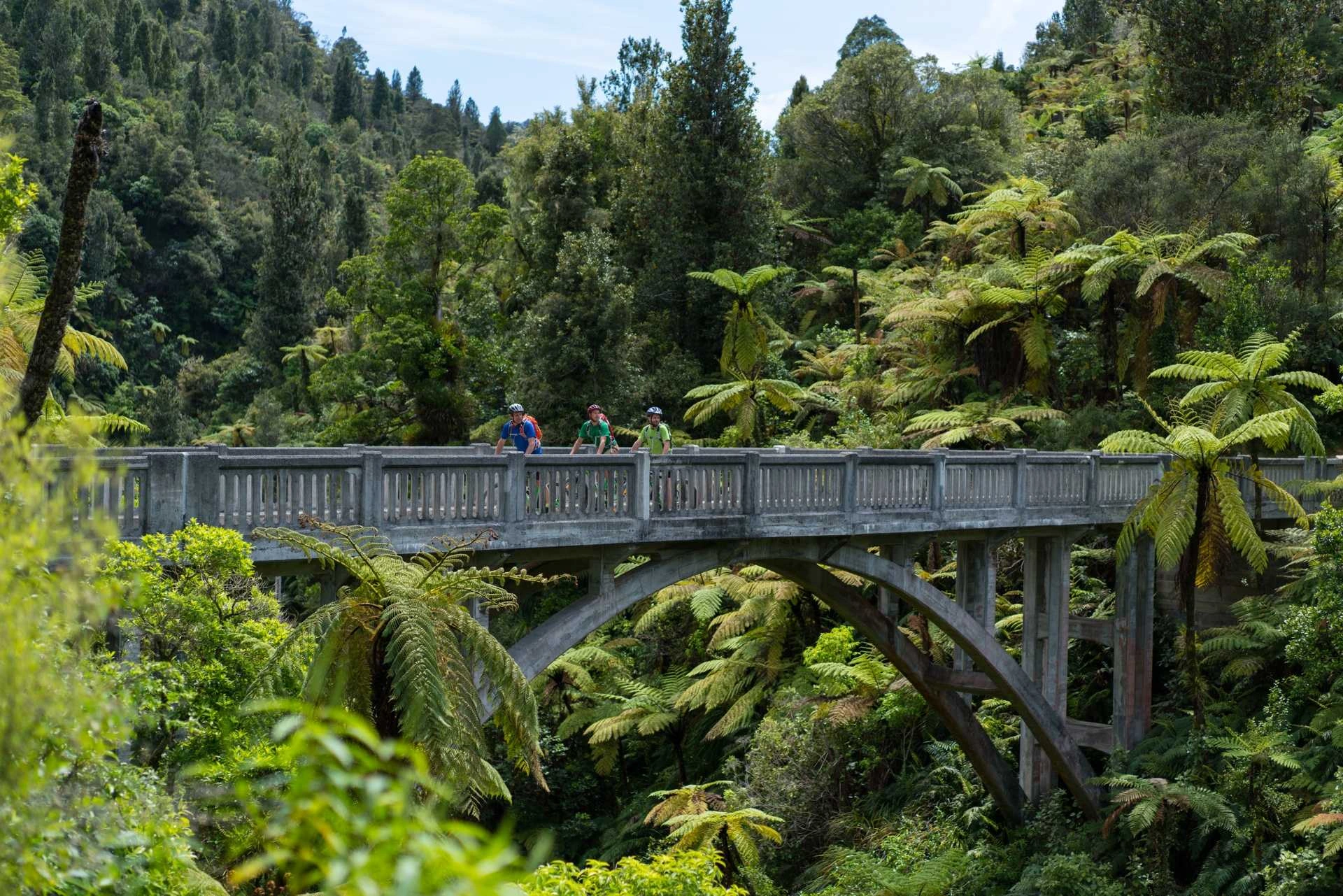 Bridge to Nowhere cycle trail - Whanganui National Park