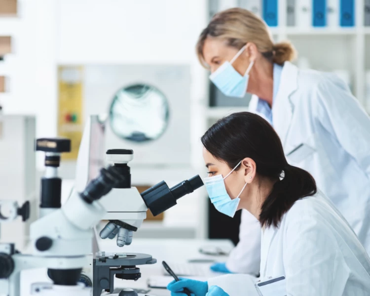 Pathologists in the lab looking through the microscope (stock image)