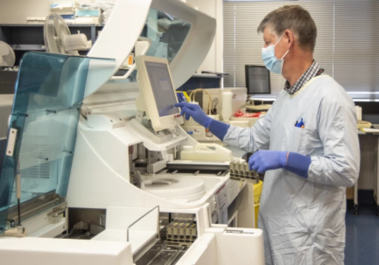 A senior pathologist checking a monitor display in the hospital laboratory.