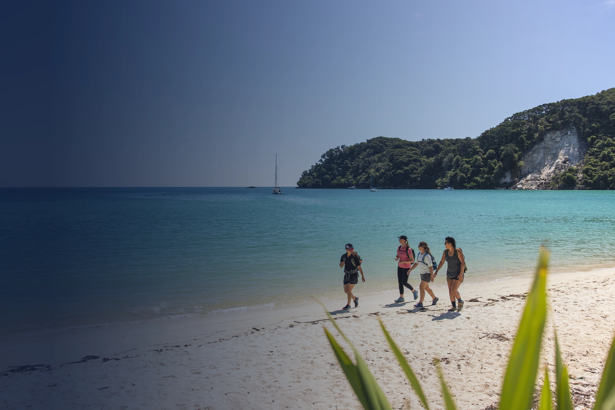 Abel Tasman Beach Miles Holden