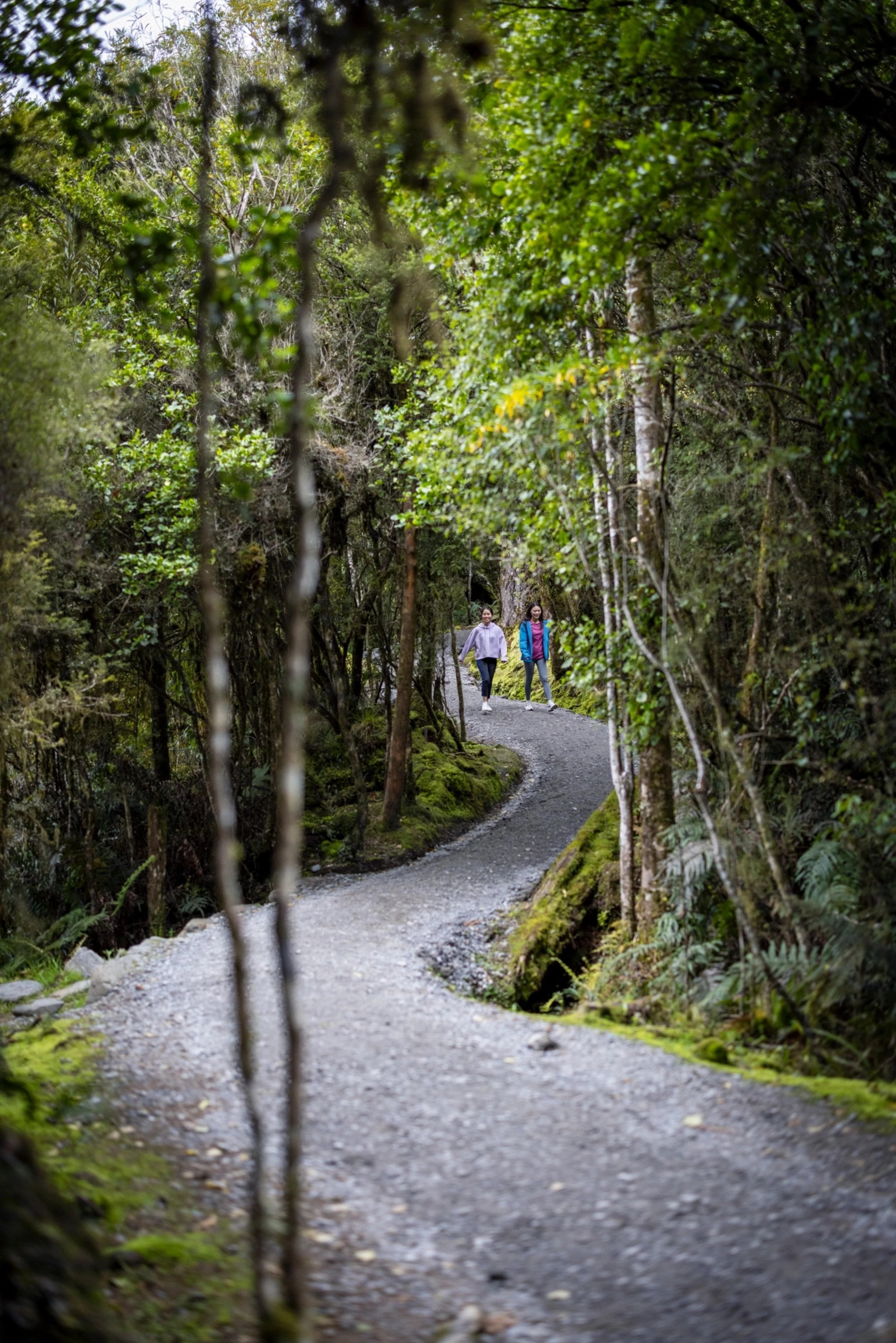 Fox Glacier - Credit: Miles Holden