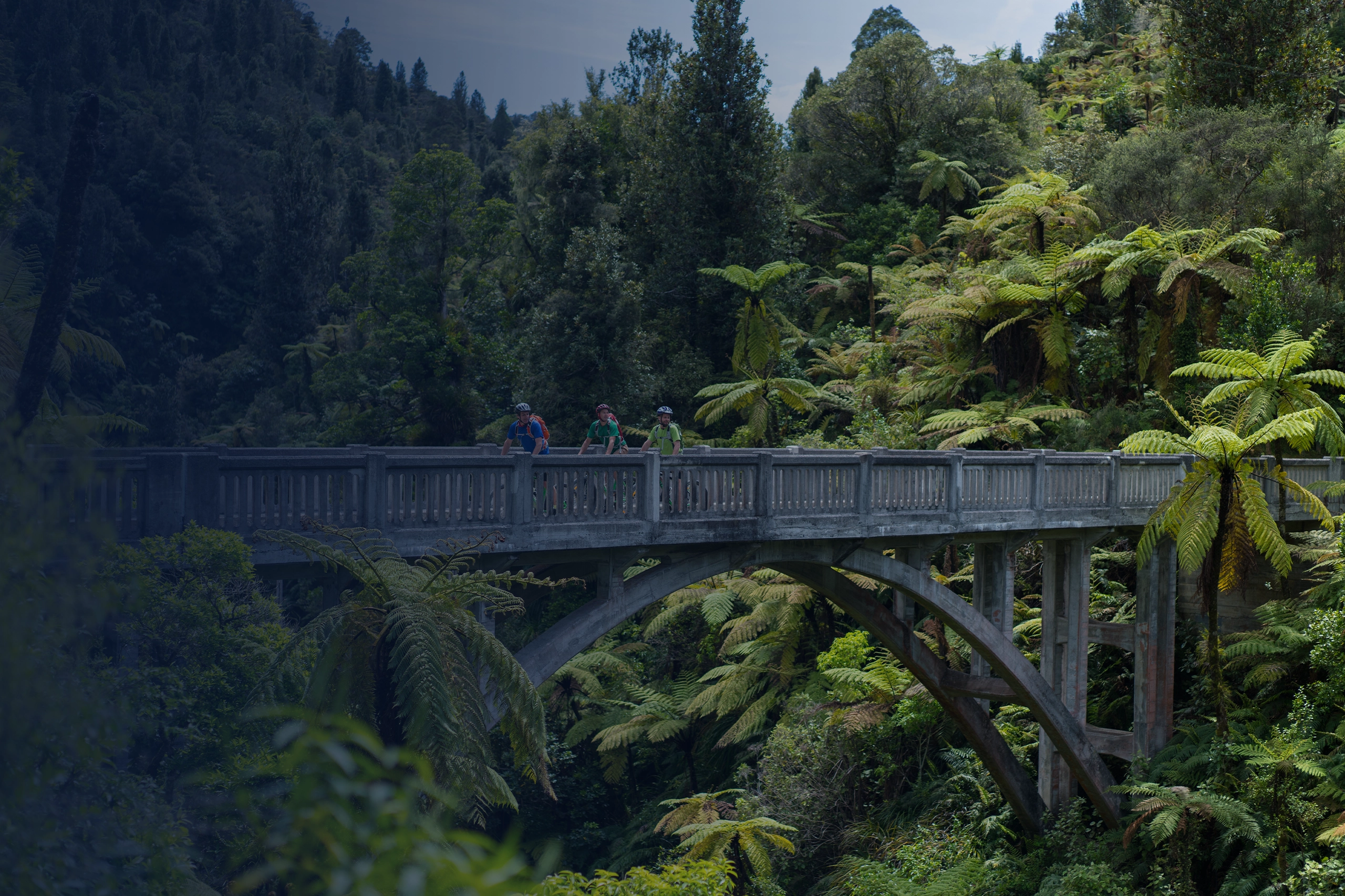 Whanganui National Park Tourism New Zealand