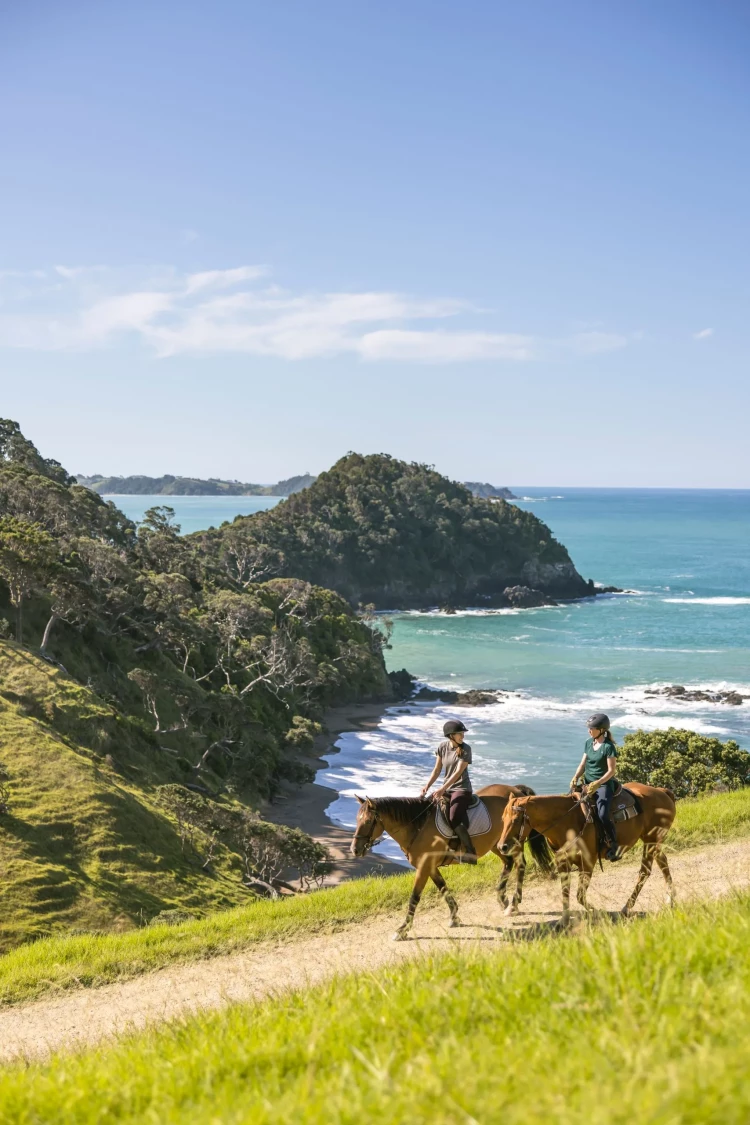 Matapouri Northland Miles Holden